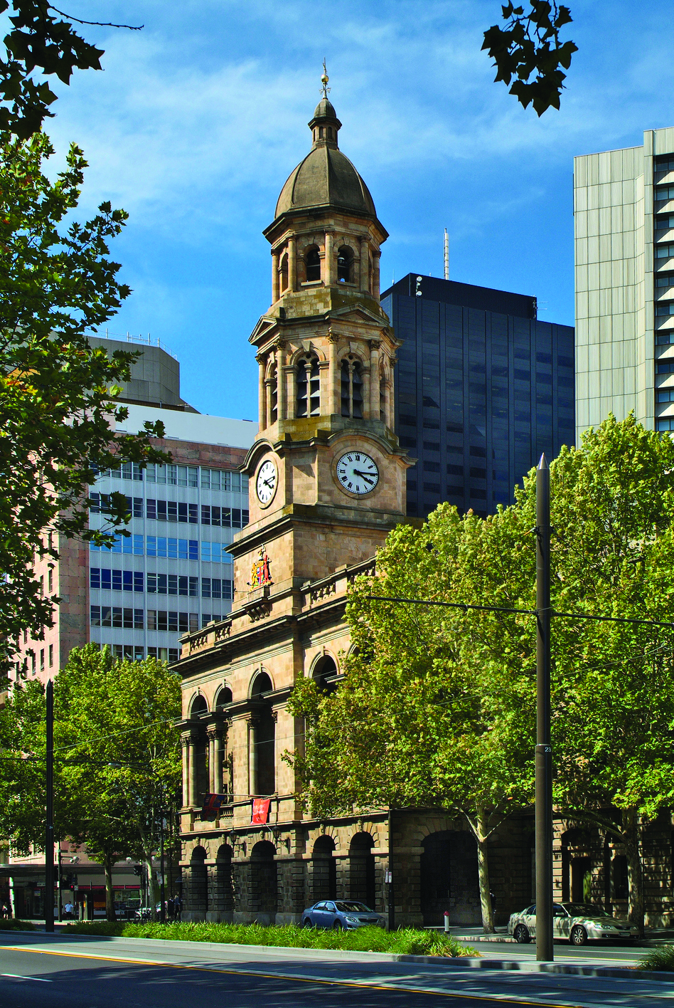 The historic Adelaide Town Hall with its prominent clock tower, nestled among modern buildings and green trees under a blue sky.